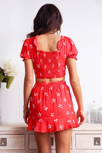 color-red-print