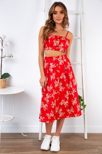 color-red-print