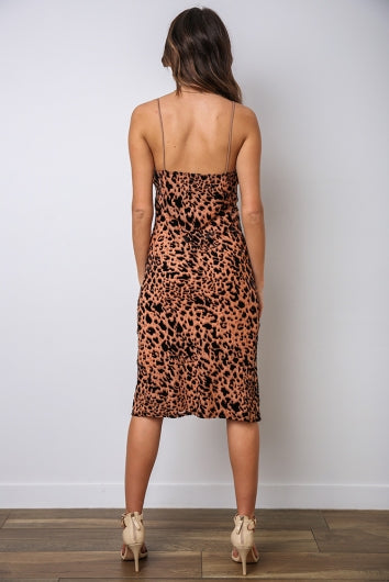 color-leopard-burnout