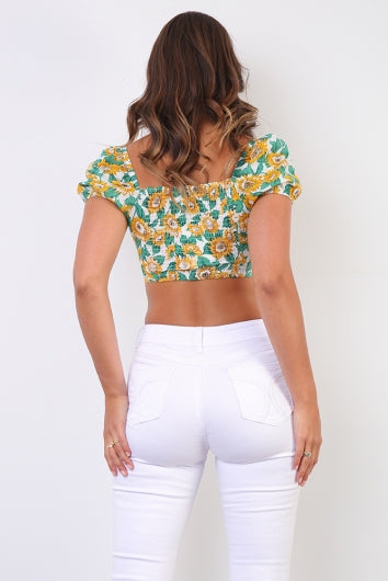 color-white-sunflower