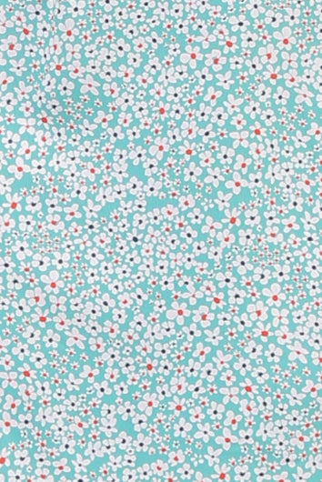color-mint-print