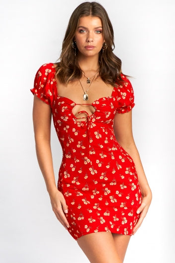 color-red-print