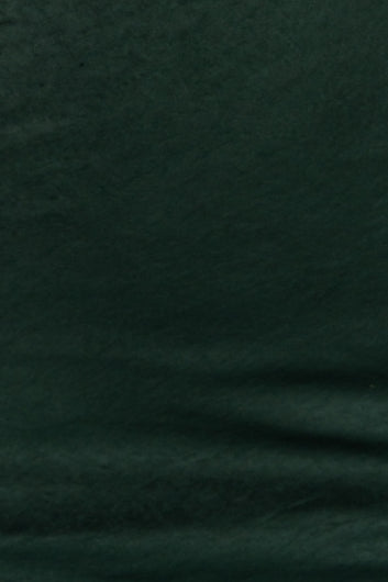 color-forest-green