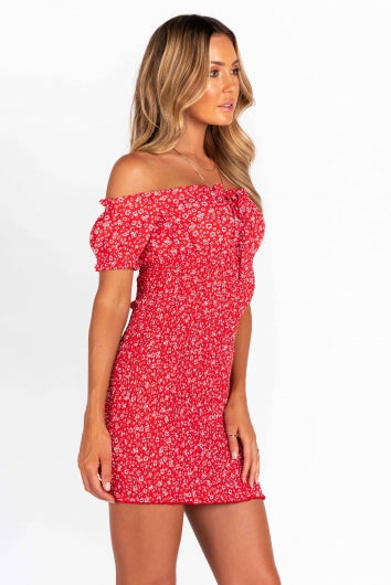 color-red-print