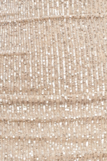 color-silver-sequin