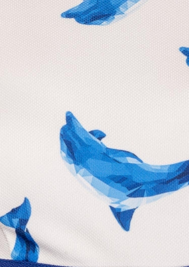 color-blue-dolphin