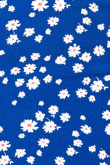 color-dark-blue-daisy