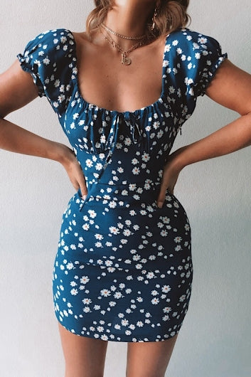 color-dark-blue-daisy