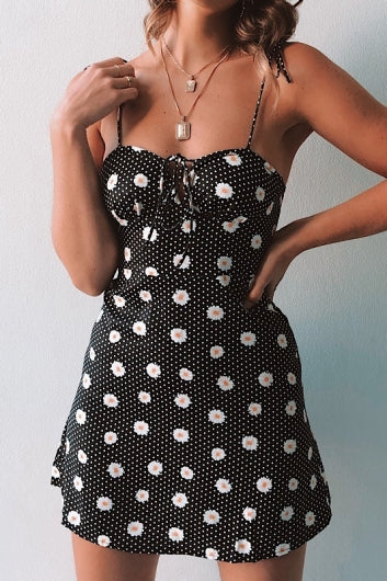 color-black-daisy-spot