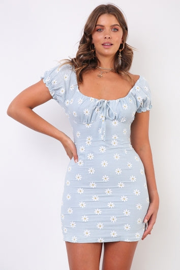 color-light-blue-daisy